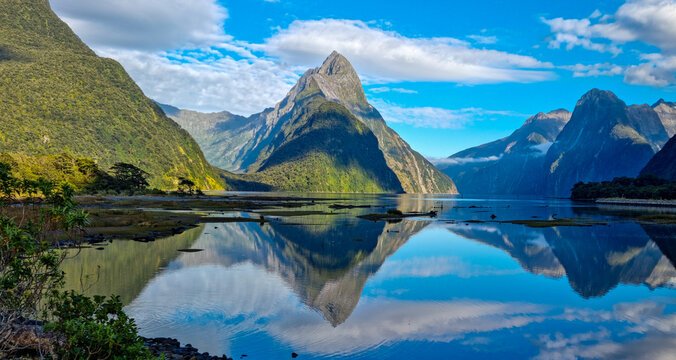 Milford Sound: A Complete Guide to One of the World’s Most Beautiful Natural Wonders